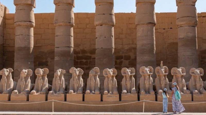 A row of sphinx statues lining the avenue leading to Luxor Temple, part of the ceremonial route to Karnak Temple.